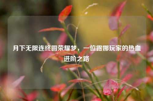 月下无限连终圆荣耀梦,一位露娜玩家的热血进阶之路