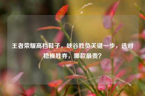 王者荣耀高档鞋子,峡谷胜负关键一步,选对稳操胜券,哪款最贵?
