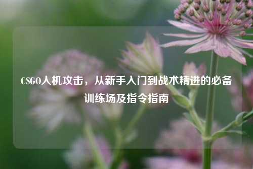 CSGO人机攻击，从新手入门到战术精进的必备训练场及指令指南