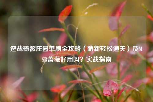 逆战蔷薇庄园单刷全攻略(萌新轻松通关)及MSR蔷薇好用吗?实战指南