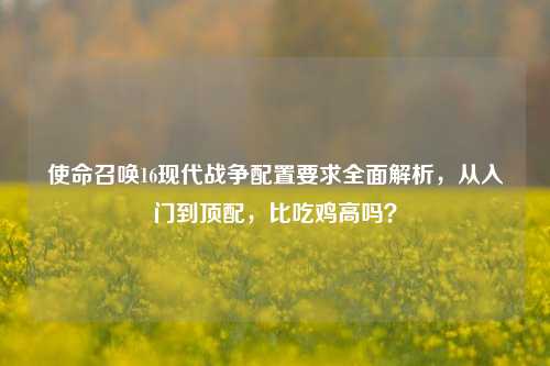 使命召唤16现代战争配置要求全面解析,从入门到顶配,比吃鸡高吗?