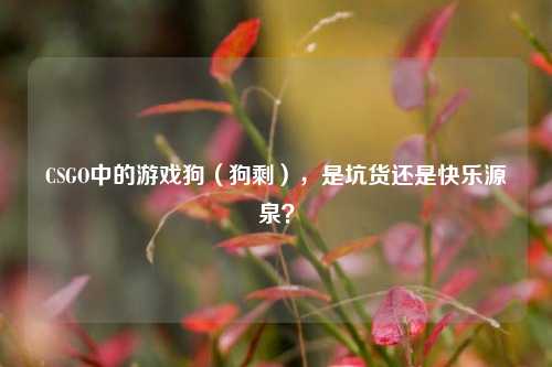 CSGO中的游戏狗(狗剩),是坑货还是快乐源泉?