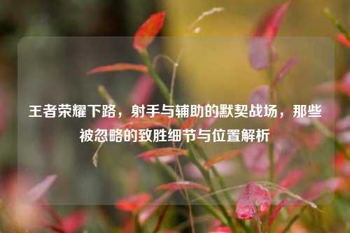 王者荣耀下路,射手与辅助的默契战场,那些被忽略的致胜细节与位置解析