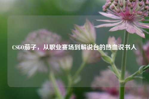 CSGO茄子,从职业赛场到解说台的热血说书人