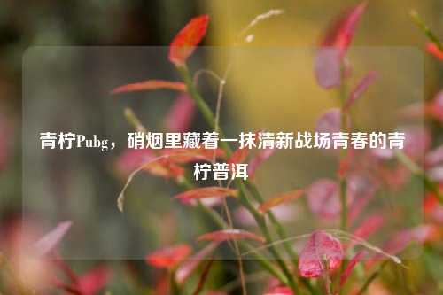 青柠Pubg,硝烟里藏着一抹清新战场青春的青柠普洱