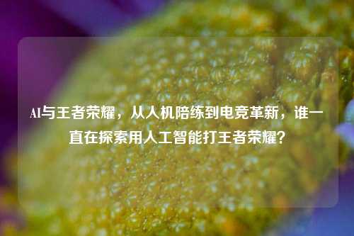 AI与王者荣耀,从人机陪练到电竞革新,谁一直在探索用人工智能打王者荣耀?