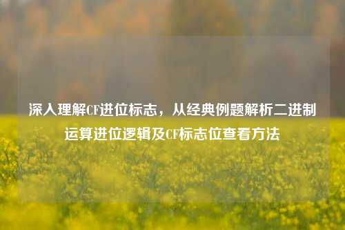 深入理解CF进位标志,从经典例题解析二进制运算进位逻辑及CF标志位查看
