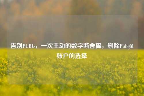 告别PUBG,一次主动的数字断舍离,删除PubgM账户的选择