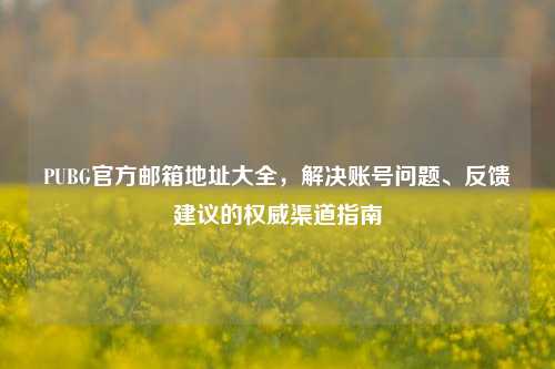 PUBG官方邮箱地址大全,解决账号问题、反馈建议的权威渠道指南
