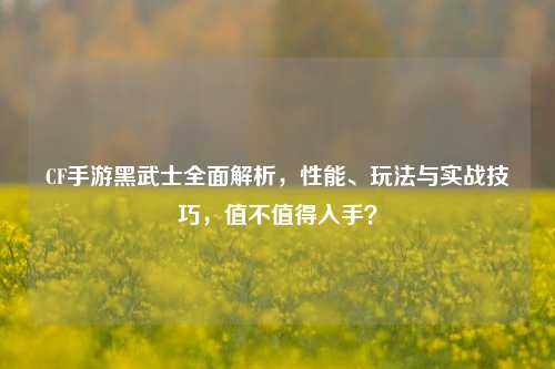 CF手游黑武士全面解析,性能、玩法与实战技巧,值不值得入手?
