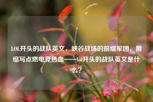 LOL开头的战队英文，峡谷战场的前缀军团，用缩写点燃电竞热血——lol开头的战队英文是什么？