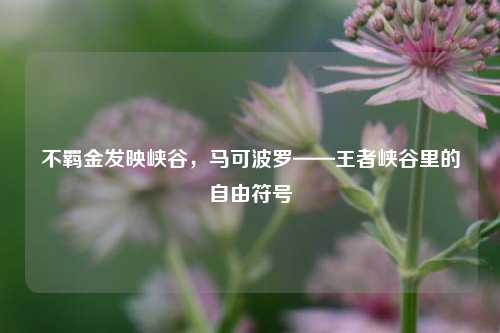 不羁金发映峡谷,马可波罗——王者峡谷里的自由符号