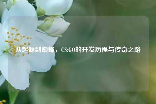 从起源到巅峰,CS:GO的开发历程与传奇之路