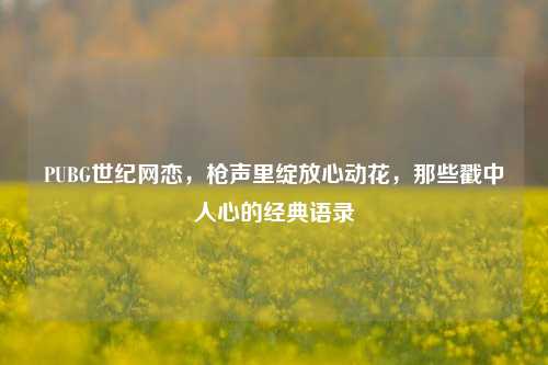 PUBG世纪网恋,枪声里绽放心动花,那些戳中人心的经典语录