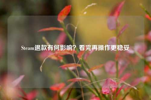 Steam退款有何影响?看完再操作更稳妥