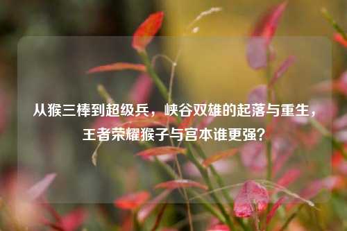 从猴三棒到超级兵，峡谷双雄的起落与重生，王者荣耀猴子与宫本谁更强？