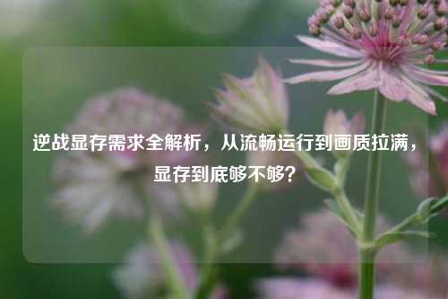 逆战显存需求全解析,从流畅运行到画质拉满,显存到底够不够?
