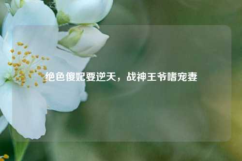 绝色傻妃要逆天,战神王爷嗜宠妻