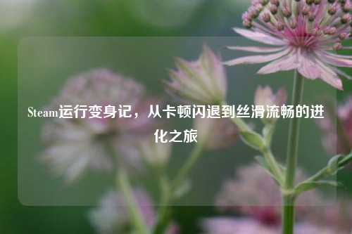 Steam运行变身记,从卡顿闪退到丝滑流畅的进化之旅