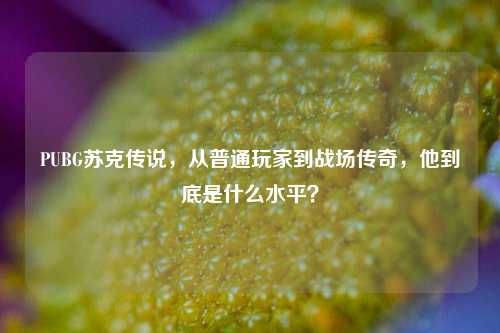 PUBG苏克传说,从普通玩家到战场传奇,他到底是什么水平?