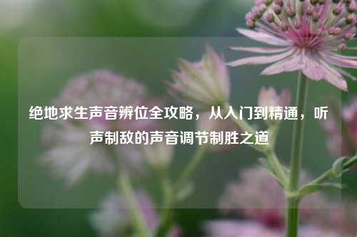 绝地求生声音辨位全攻略,从入门到精通,听声制敌的声音调节制胜之道