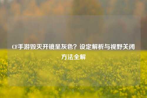 CF手游毁灭开镜呈灰色?设定解析与视野关闭 全解