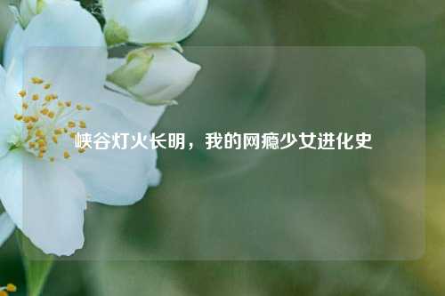 峡谷灯火长明,我的网瘾少女进化史