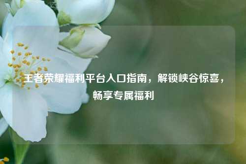 王者荣耀福利平台入口指南,解锁峡谷惊喜,畅享专属福利