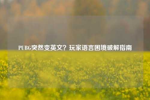 PUBG突然变英文?玩家语言困境破解指南