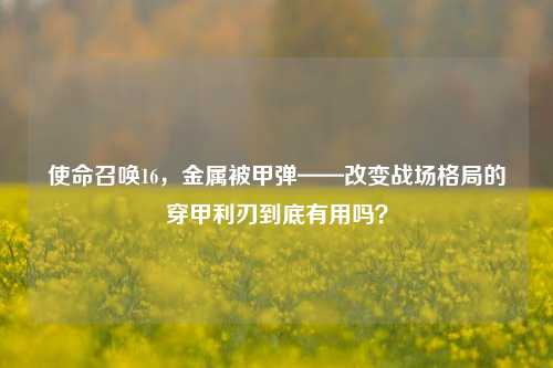使命召唤16,金属被甲弹——改变战场格局的穿甲利刃到底有用吗?