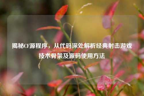 揭秘CF源程序,从代码深处解析经典射击游戏技术骨架及源码使用