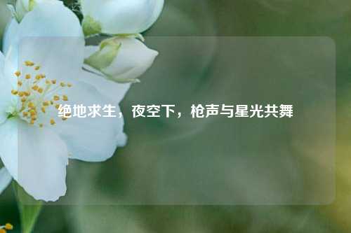 绝地求生,夜空下,枪声与星光共舞