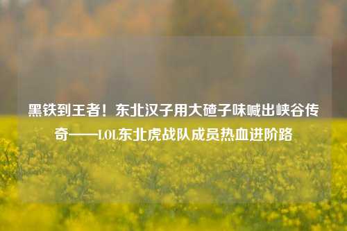 黑铁到王者!东北汉子用大碴子味喊出峡谷传奇——LOL东北虎战队成员热血进阶路
