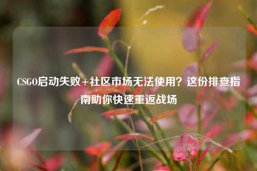 CSGO启动失败+社区市场无法使用?这份排查指南助你快速重返战场