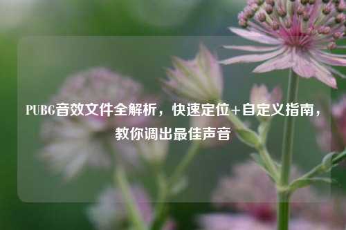 PUBG音效文件全解析,快速定位+自定义指南,教你调出更佳声音
