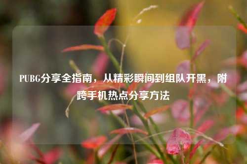 PUBG分享全指南,从精彩瞬间到组队开黑,附跨手机热点分享