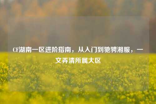 CF湖南一区进阶指南,从入门到驰骋湘服,一文弄清所属大区