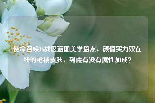 使命召唤16战区蓝图美学盘点,颜值实力双在线的枪械皮肤,到底有没有属性加成?