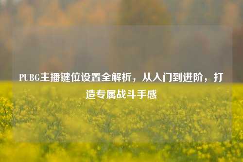 PUBG主播键位设置全解析,从入门到进阶,打造专属战斗手感