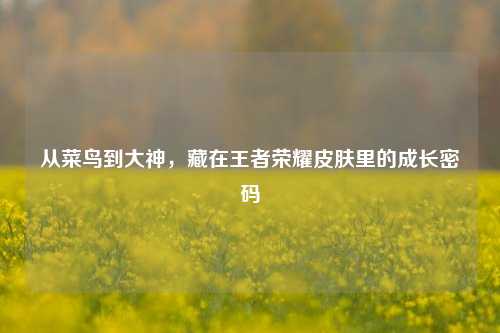 从菜鸟到大神,藏在王者荣耀皮肤里的成长密码