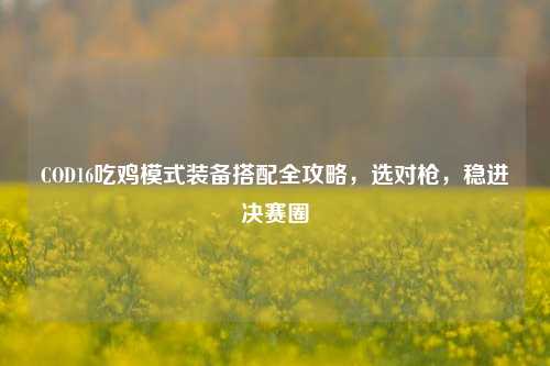 COD16吃鸡模式装备搭配全攻略,选对枪,稳进决赛圈