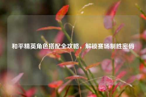 和平精英角色搭配全攻略,解锁赛场制胜密码