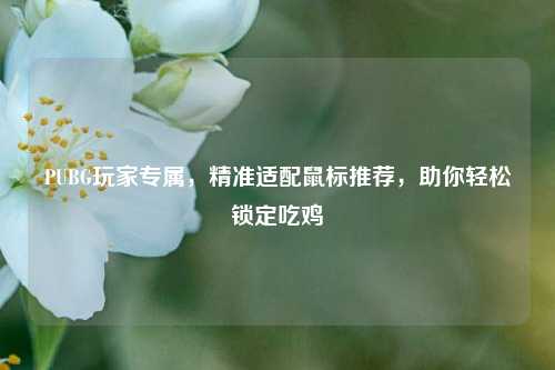 PUBG玩家专属,精准适配鼠标推荐,助你轻松锁定吃鸡