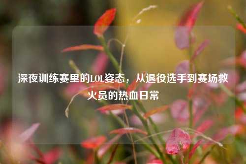深夜训练赛里的LOL姿态,从退役选手到赛场救火员的热血日常