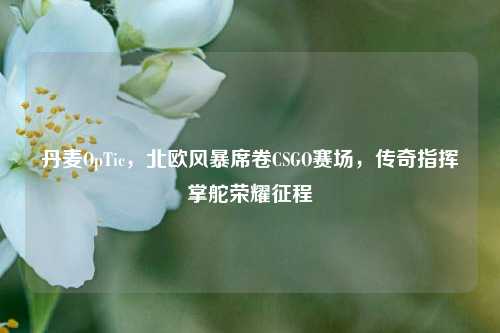 丹麦OpTic,北欧风暴席卷CSGO赛场,传奇指挥掌舵荣耀征程