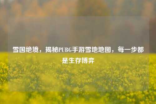 雪国绝境,揭秘PUBG手游雪地地图,每一步都是生存博弈