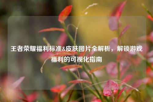 王者荣耀福利标准&皮肤图片全解析,解锁游戏福利的可视化指南
