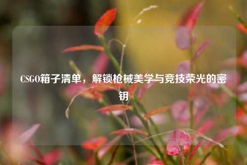 CSGO箱子清单,解锁枪械美学与竞技荣光的密钥
