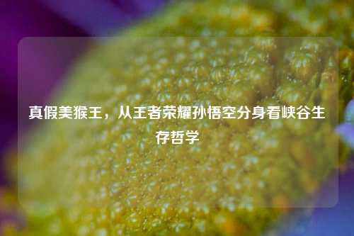 真假美猴王,从王者荣耀孙悟空分身看峡谷生存哲学
