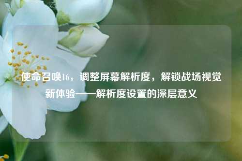 使命召唤16，调整屏幕解析度，解锁战场视觉新体验——解析度设置的深层意义